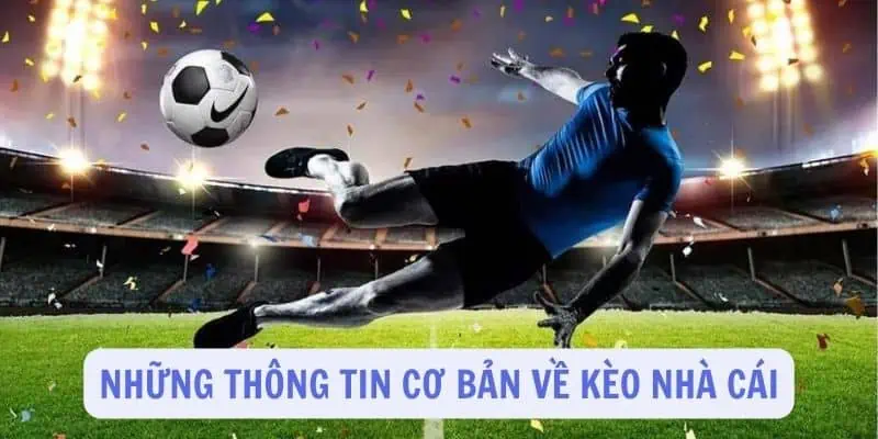 Những thông tin cơ bản về kèo nhà cái