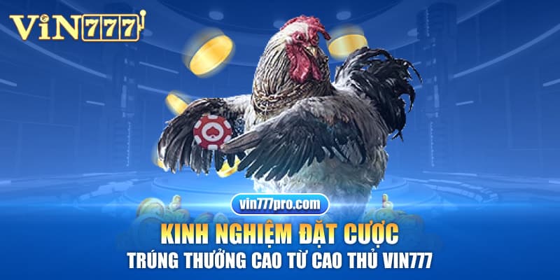 Kinh nghiệm đặt cược trúng thưởng cao từ cao thủ vin777