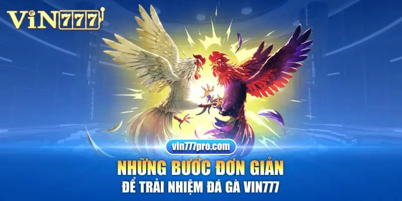 Những bước đơn giản để trải nhiệm đá gà vin777