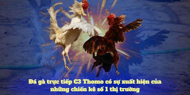 Bỏ túi các kinh nghiệm chơi đá gà C3 hiệu quả 